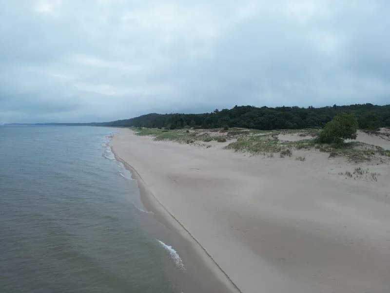 View of Nordhouse Dunes Wilderness Area in Rothbury, MI