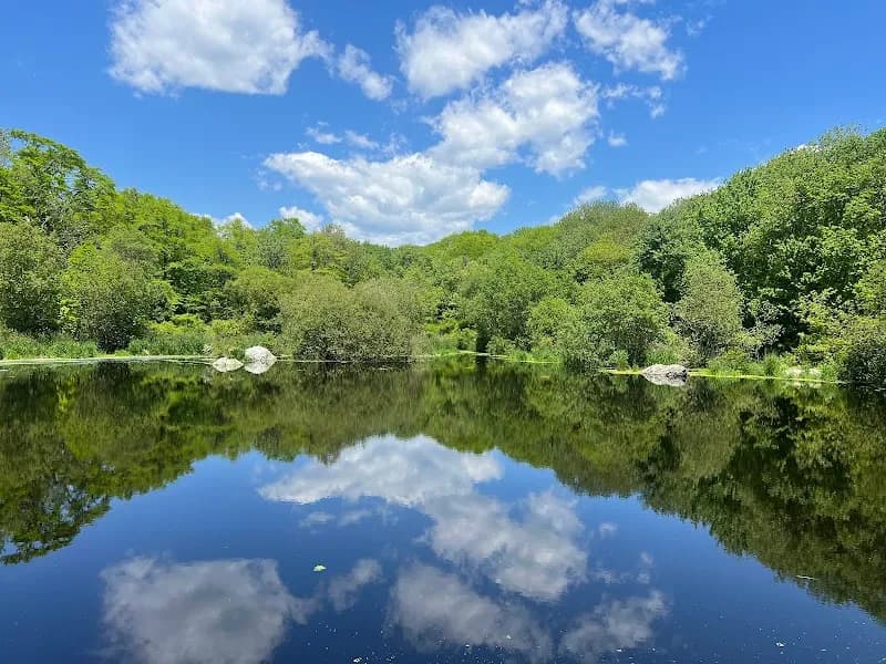 View of Norman Bird Sanctuary in Newport, RI