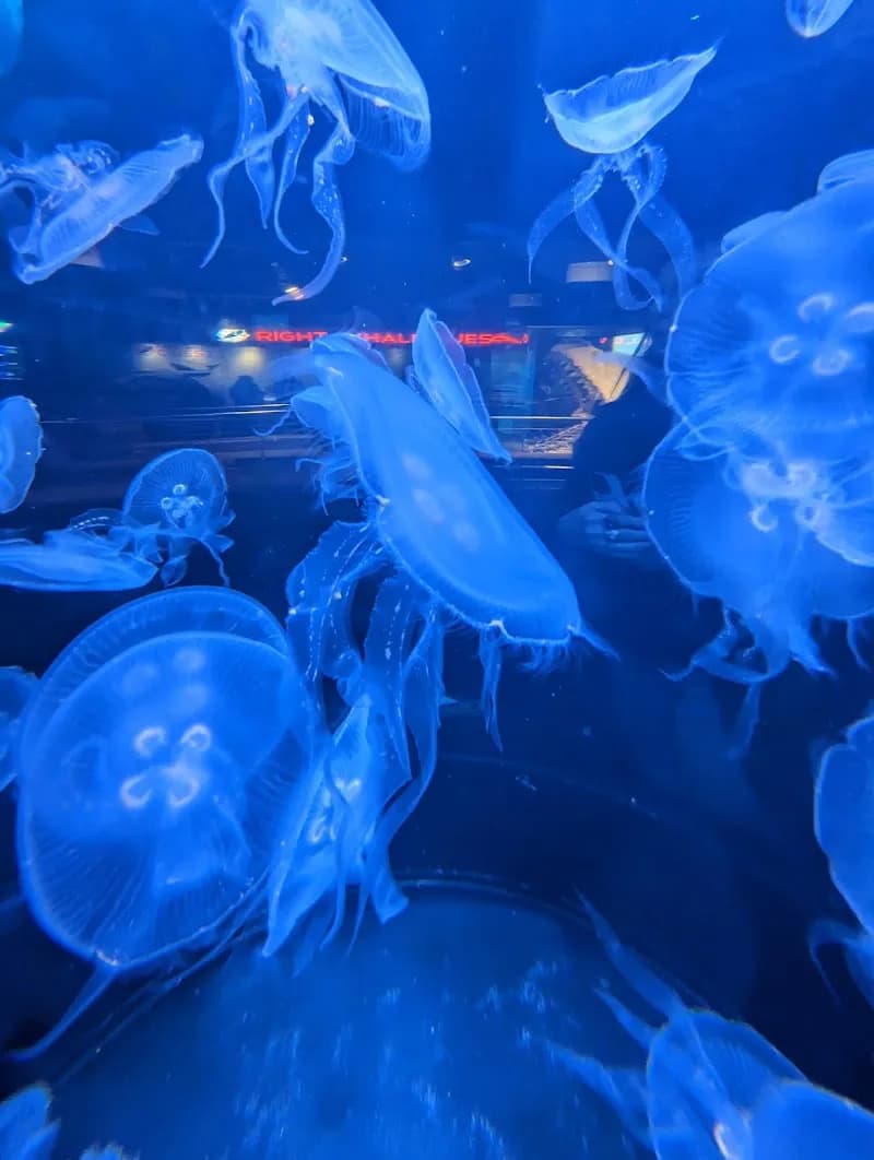 View of North Carolina Aquarium at Fort Fisher in Fayetteville, NC