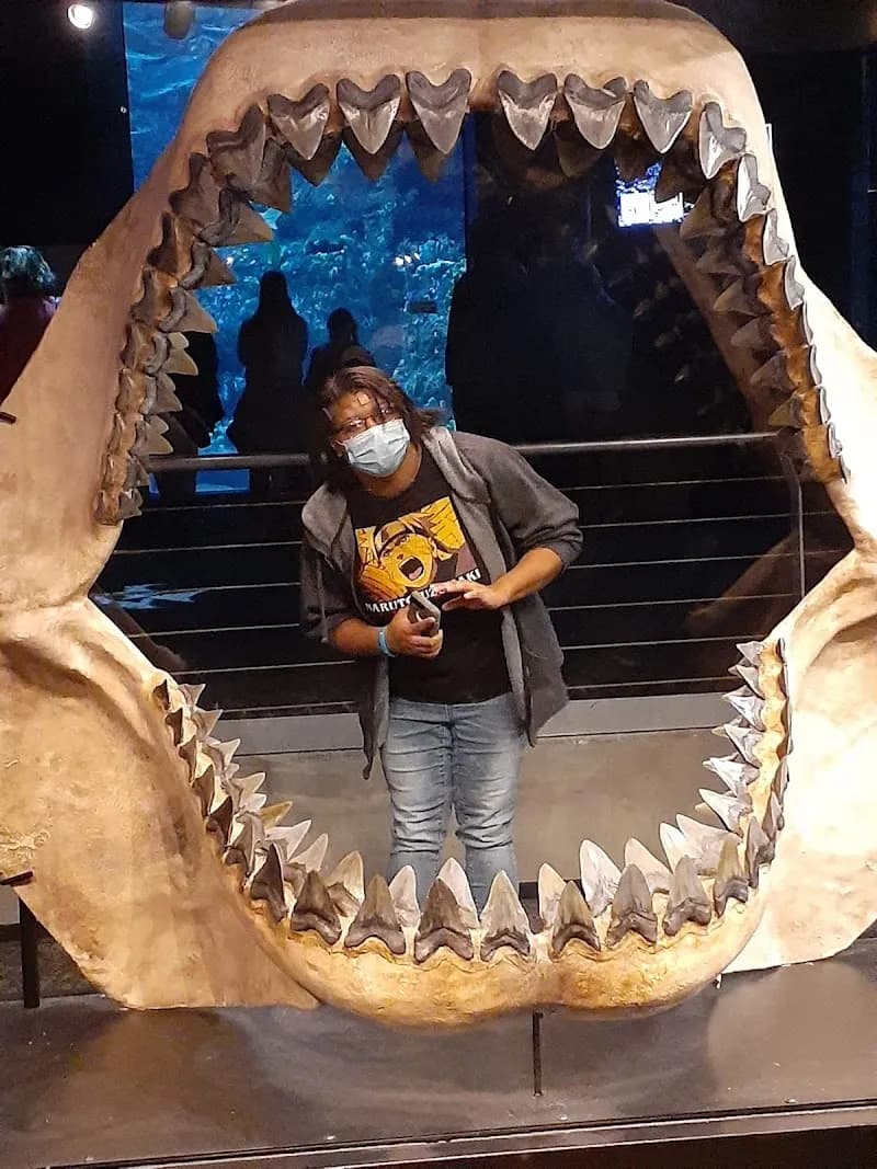 View of North Carolina Aquarium at Fort Fisher in Fayetteville, NC
