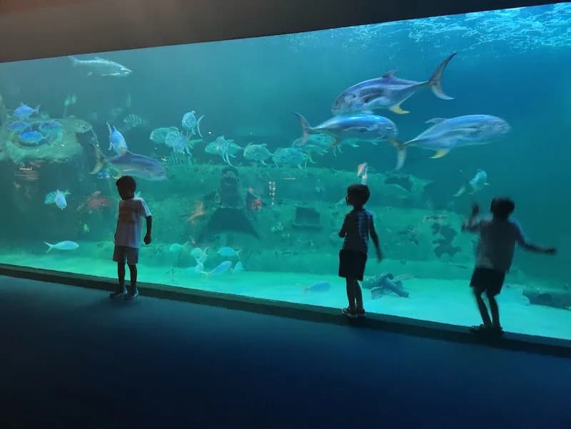 North Carolina Aquarium at Pine Knoll Shores aquarium in Nags Head, NC