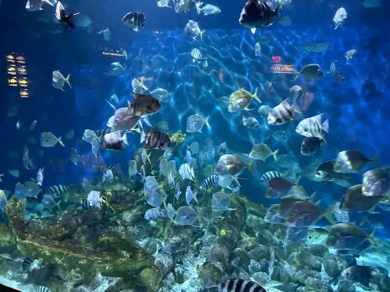 View of North Carolina Aquarium at Pine Knoll Shores in Nags Head, NC