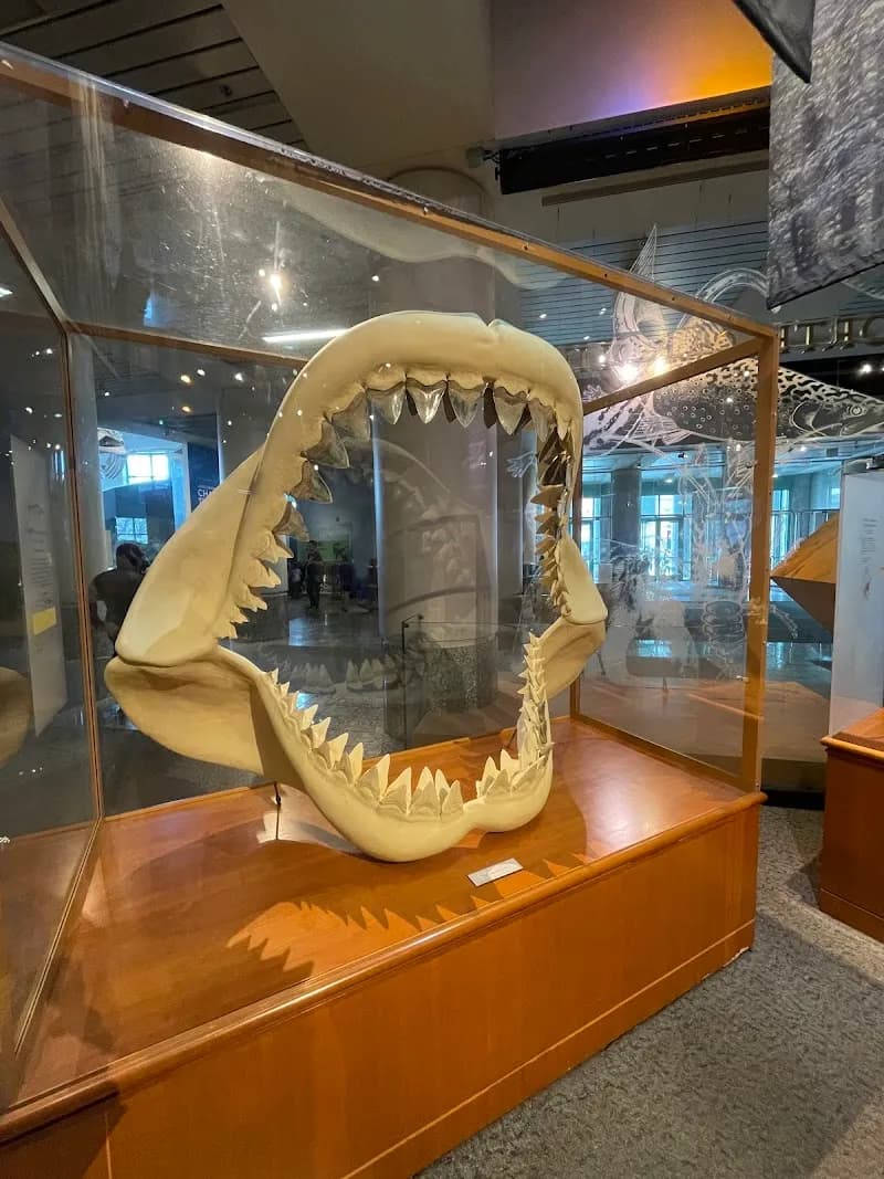 View of North Carolina Museum of Natural Sciences in Fayetteville, NC