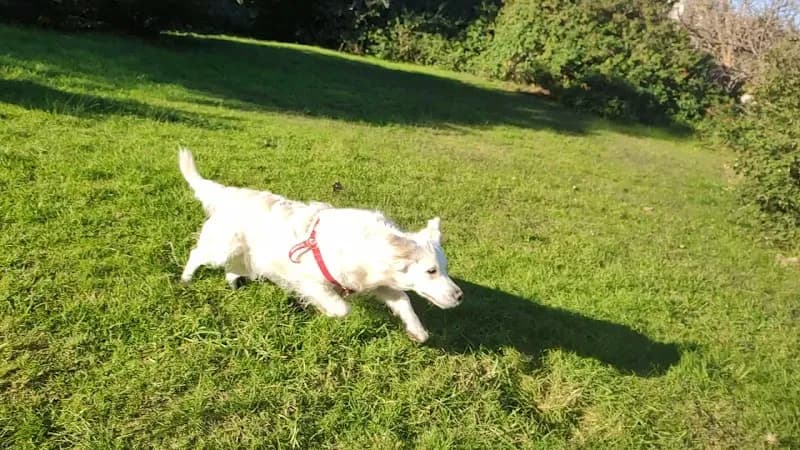 View of North Head in Manly, NSW