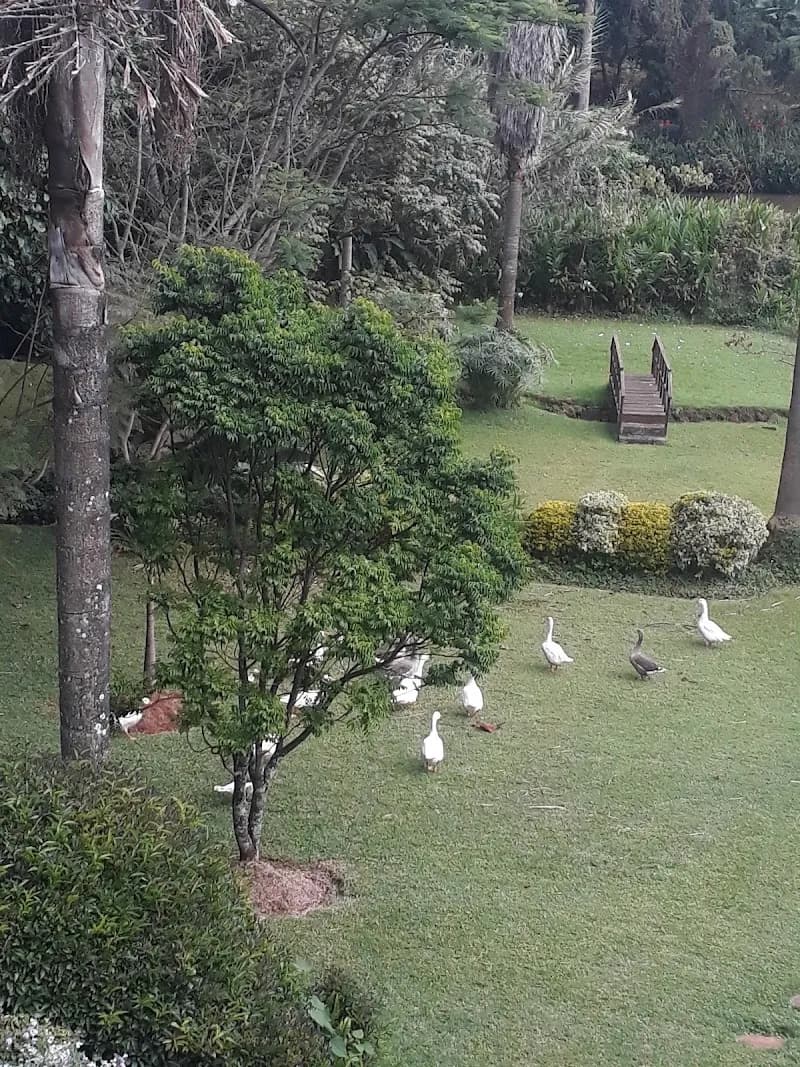 View of Nyari Estate in Nyari, Nairobi