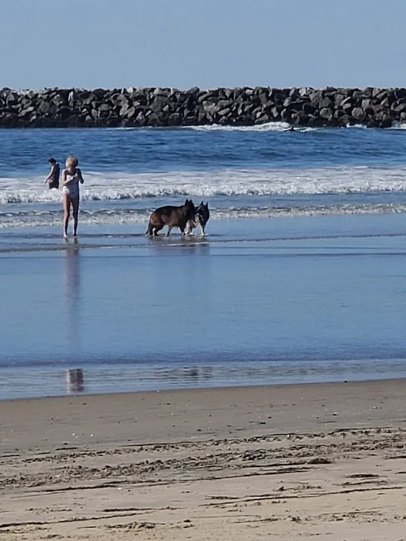 View of Ocean Beach | Dog Beach in Ocean Beach, CA