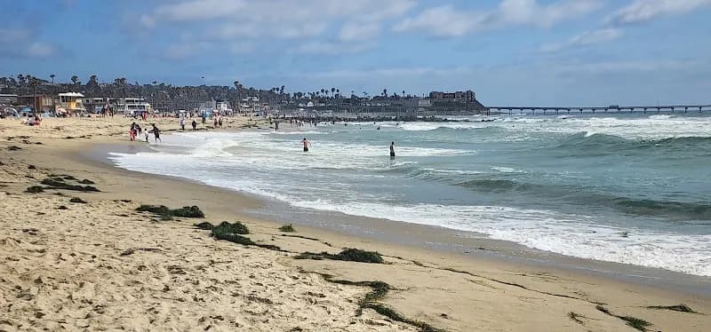 View of Ocean Beach | Dog Beach in Ocean Beach, CA