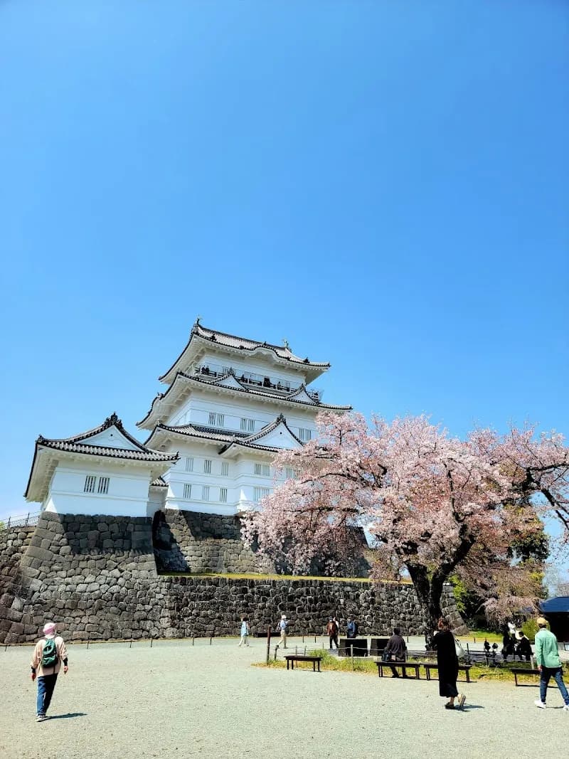 Odawara Castle castle in Odawara, Kanagawa