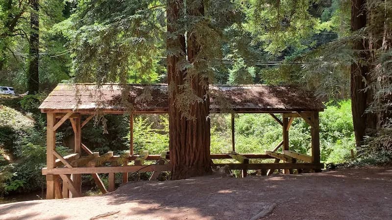 View of Old Mill Park in Mill Valley, CA