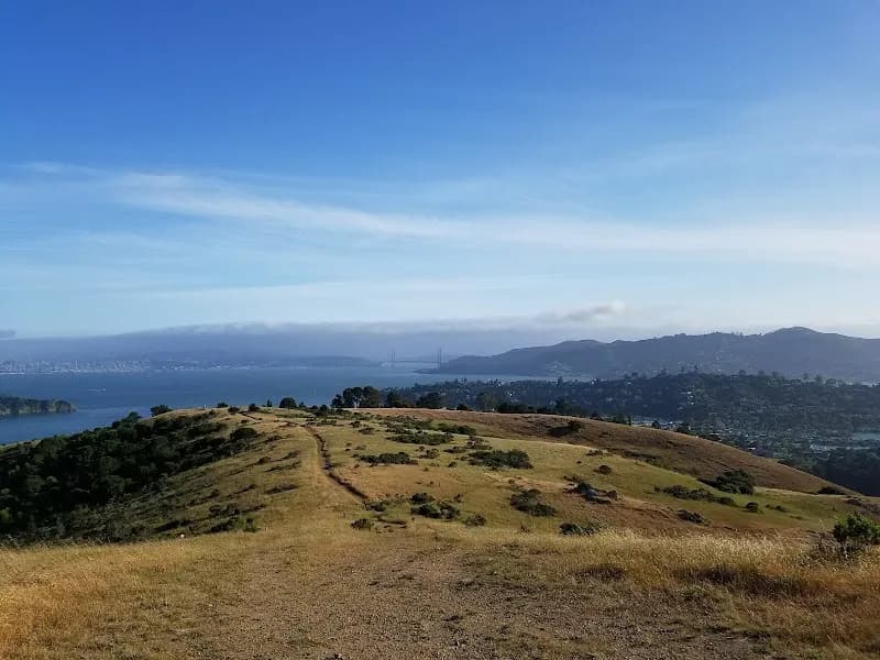 View of Old St. Hilary's Preserve in Tiburon, CA