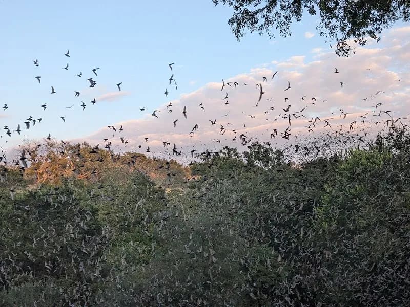 View of Old Tunnel State Park in Alamo Heights, TX