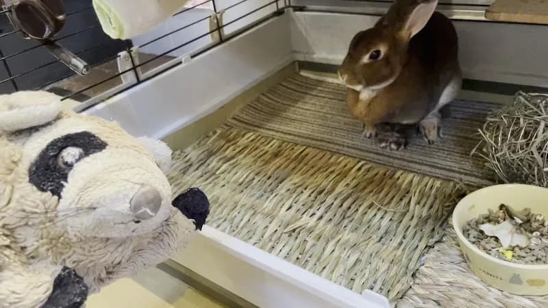 View of Onsen Yumorinosato in Mitaka, Tokyo