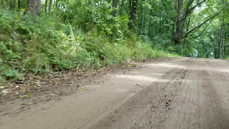 View of Onsted State Game Area in Tipton, MI
