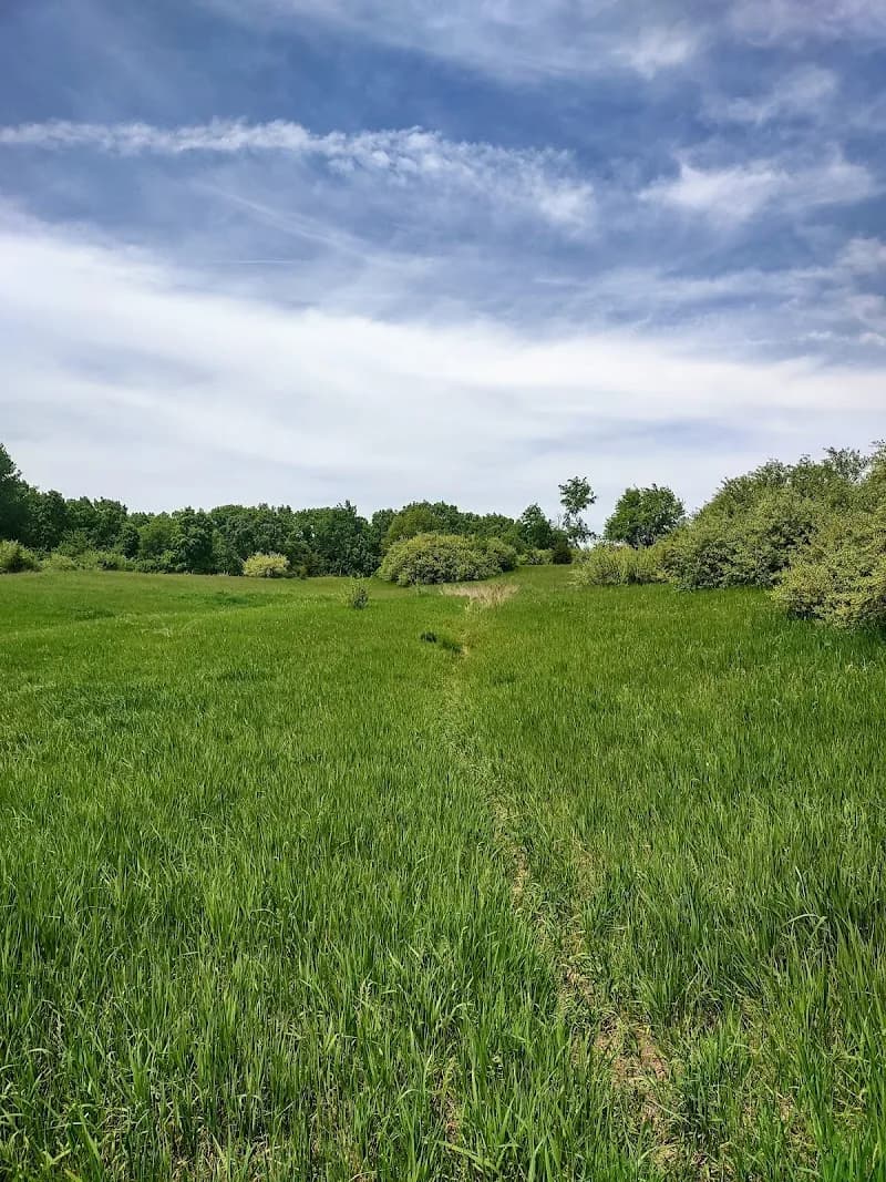 View of Onsted State Game Area in Tipton, MI