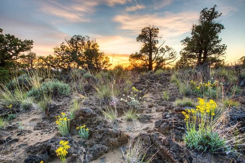 View of Oregon Badlands Wilderness in Bend, OR