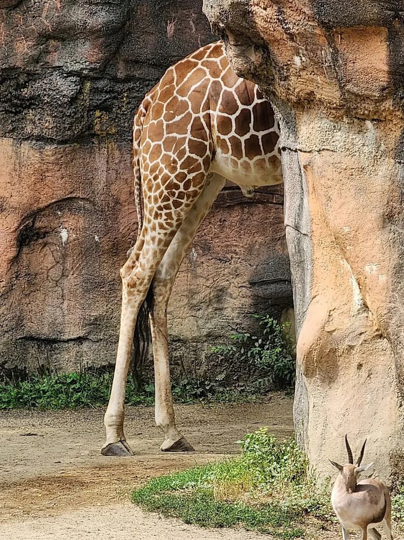 View of Oregon Zoo in Portland, OR