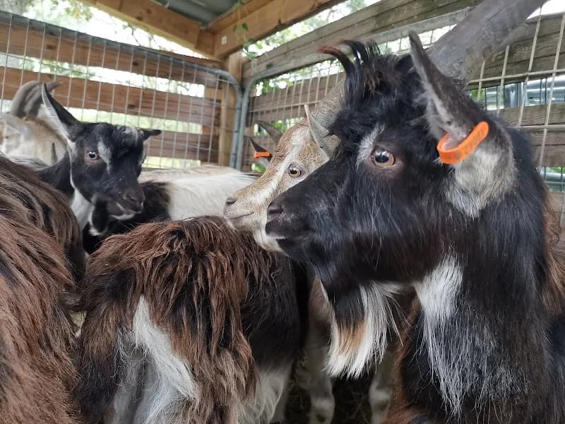 View of Orlången Nature reserve, Ebbadalsvägen entrance in Huddinge, Stockholm