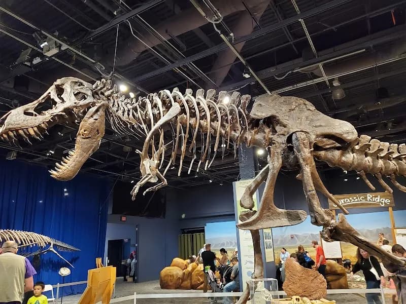 Orlando Science Center preschool in Orlando, FL