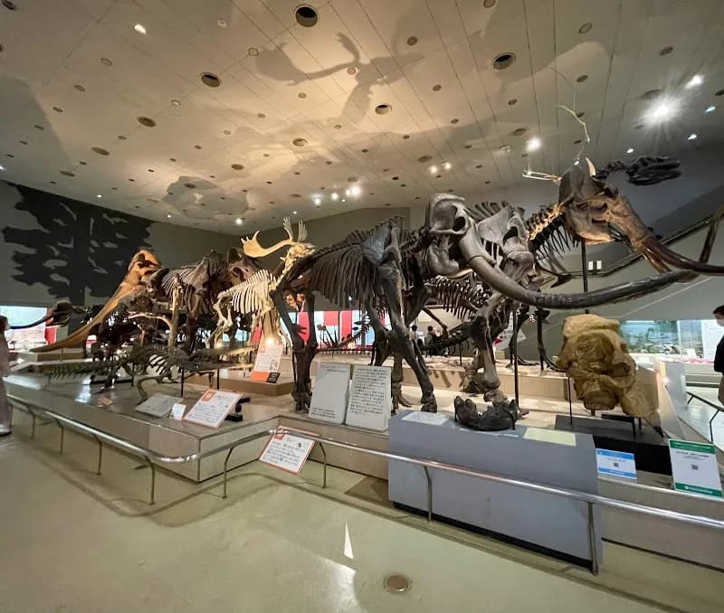 Osaka Museum of Natural History tourist attraction in Osaka, OS