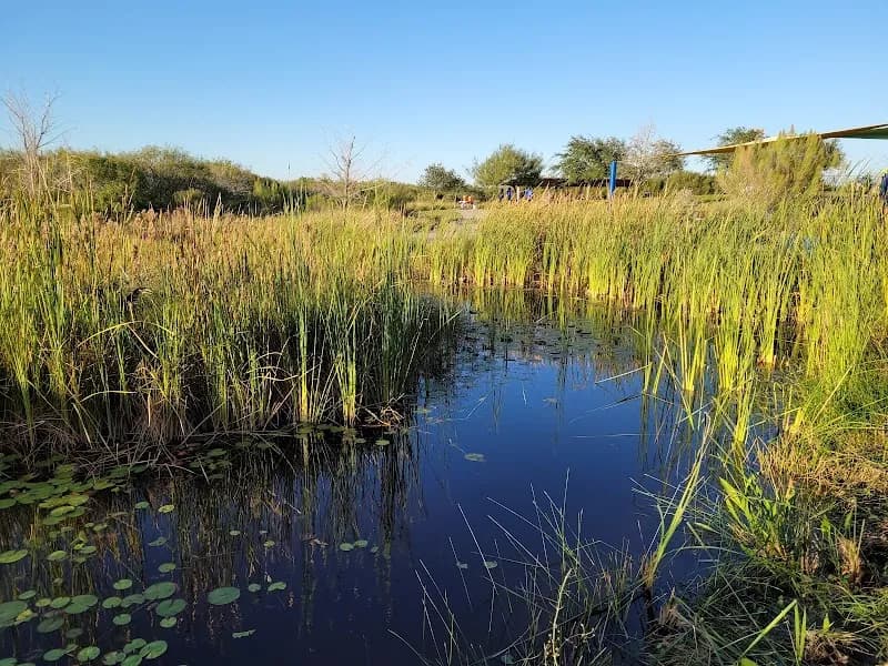 Oso Bay Wetlands Preserve and Learning Center Corpus Christi, TX nature preserve in Corpus Christi, TX