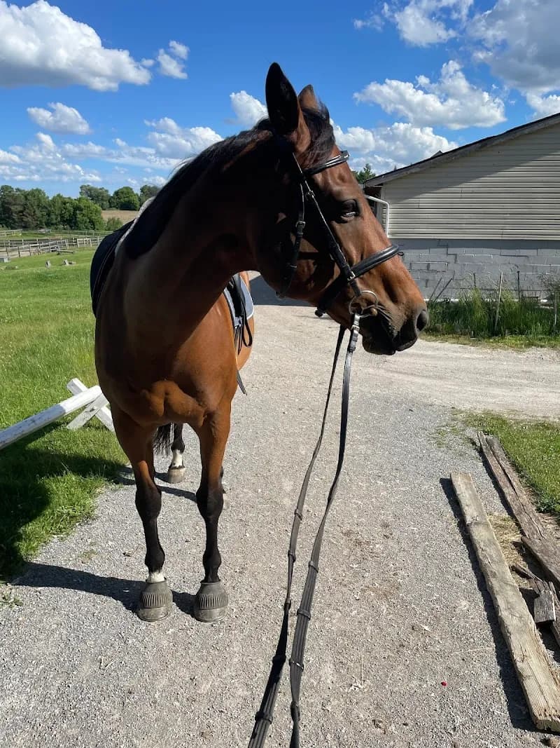 View of Ovation Hall Training Centre in Newmarket, ON