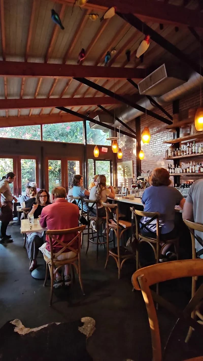 View of OvenBird in Mountain Brook, AL