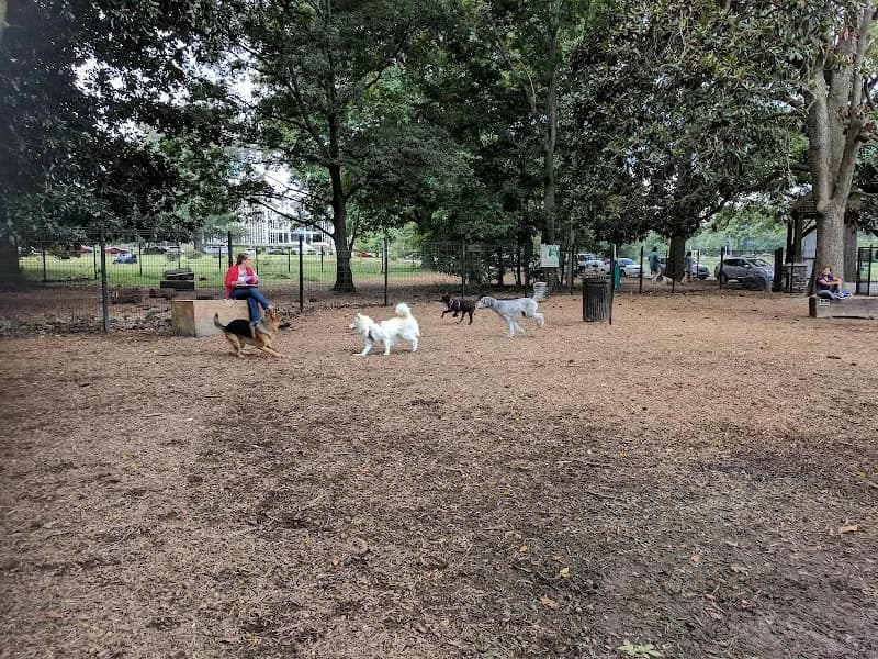 View of Overton Bark in Midtown, TN