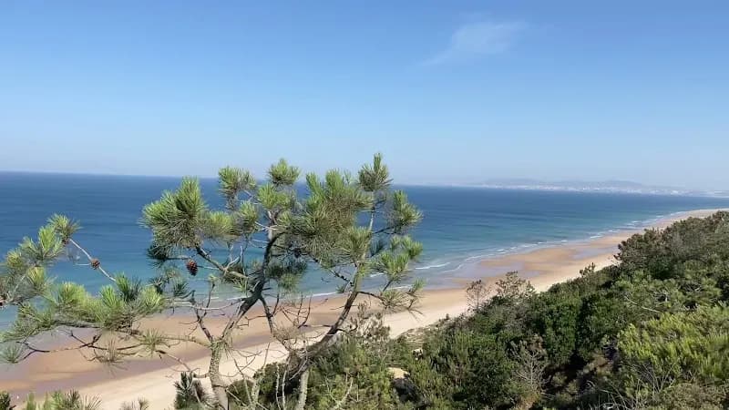 View of Paisagem Protegida da Arriba Fóssil da Costa de Caparica in Caparica, Almada