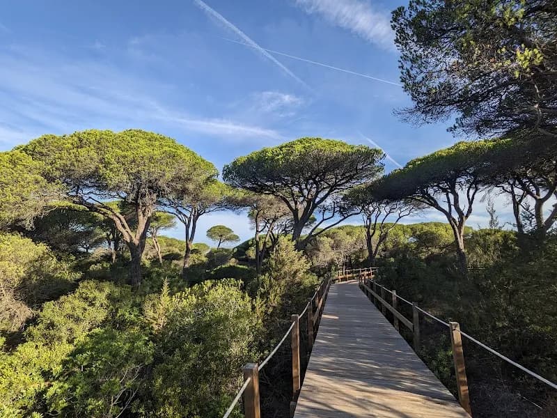 View of Paisagem Protegida da Arriba Fóssil da Costa de Caparica in Caparica, Almada