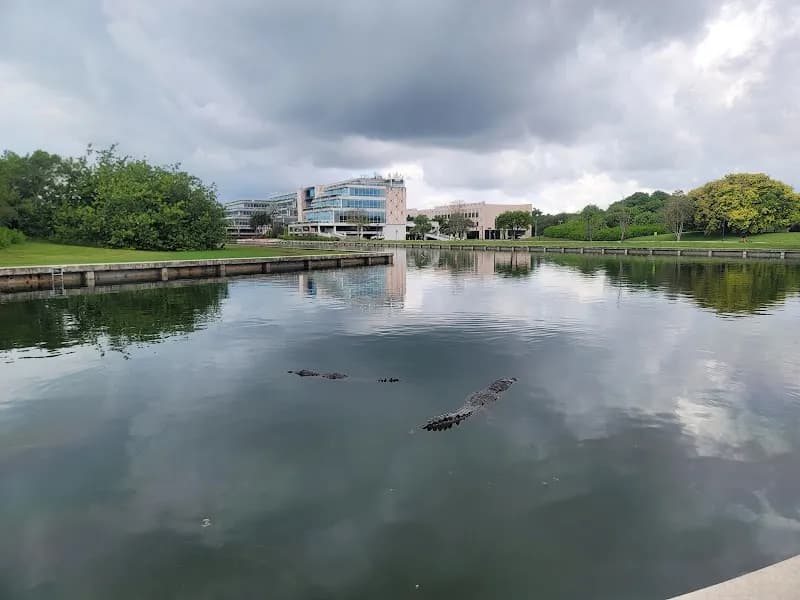 View of Palmetto Bay Village Center in Palmetto Bay, FL