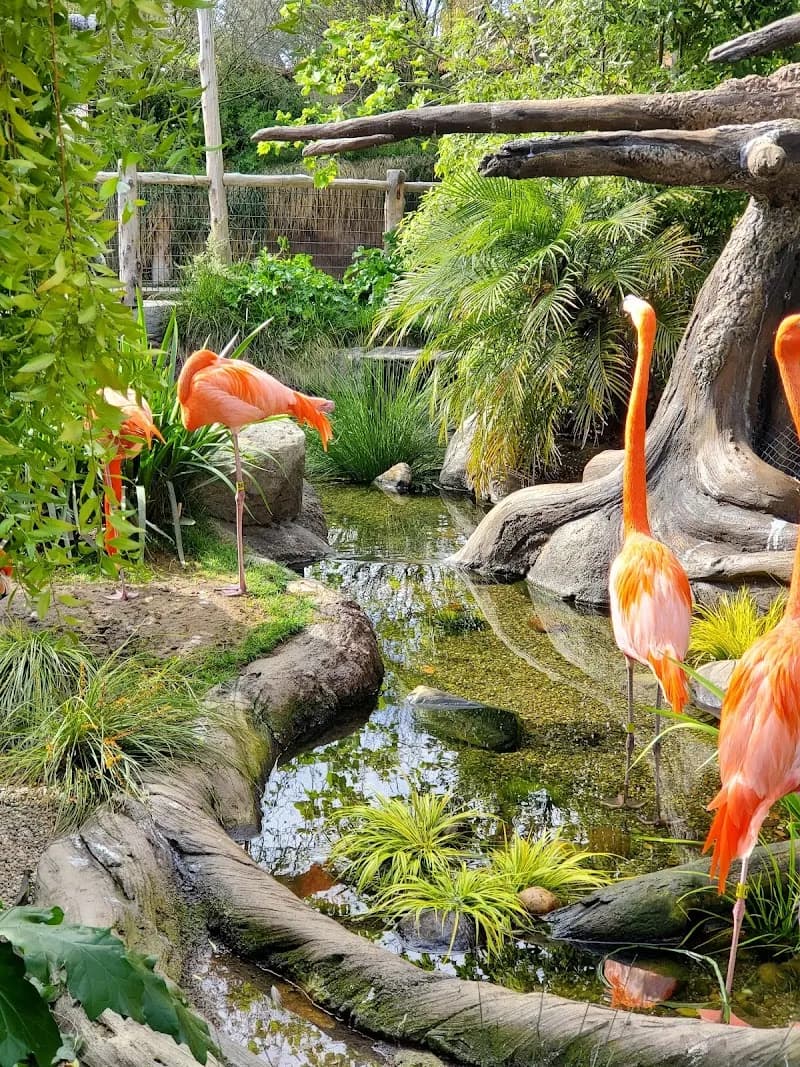View of Palo Alto Junior Museum and Zoo in Palo Alto, CA