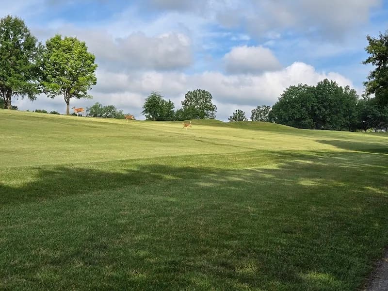 View of Paradise Pointe in Smithville, MO