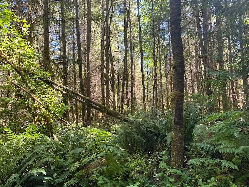 Paradise Valley Conservation Area Parking and Trail Head park in Woodinville, WA