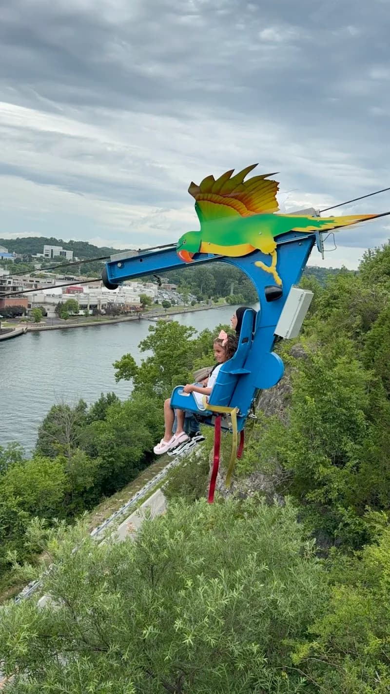 View of Parakeet Pete's Waterfront Zipline in Branson, MO