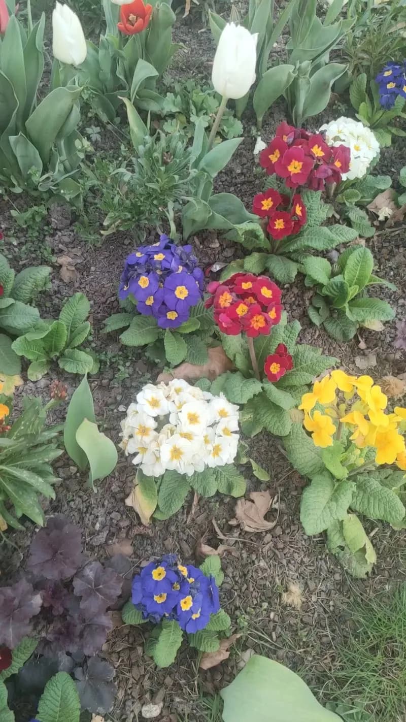View of Parc de l'Hotel de Ville in Montmorency, IDF