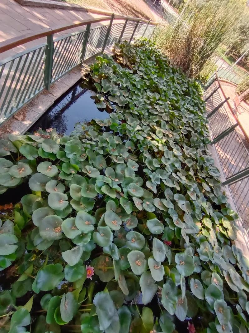 Parc de Sant Pere park in Gandia, V