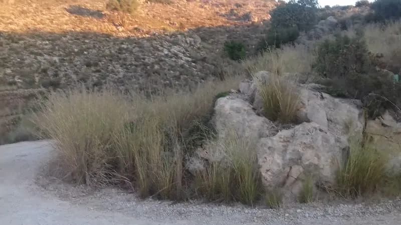 View of Parc de Sant Pere in Gandia, V
