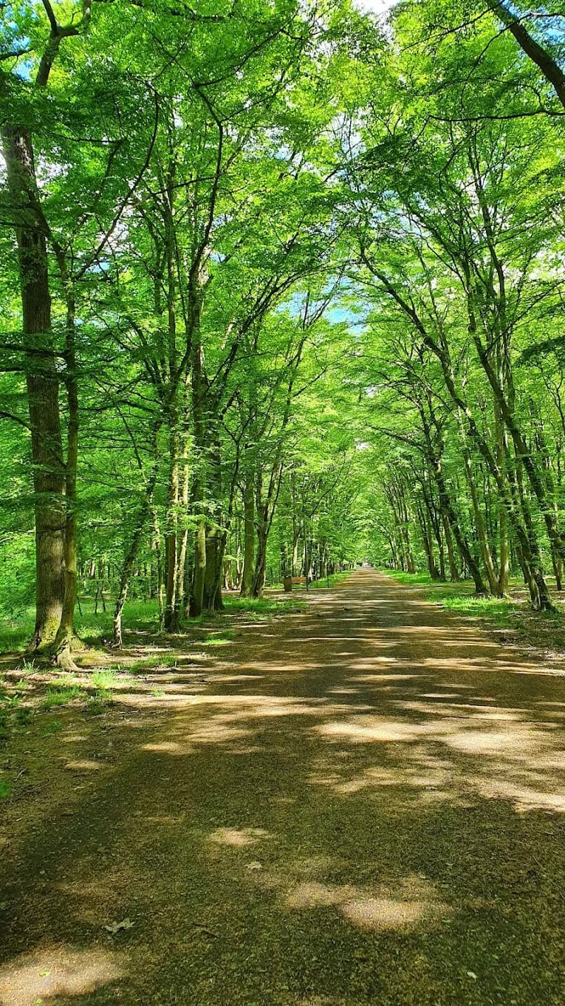 Parc des Coquibus park in Evry, IDF