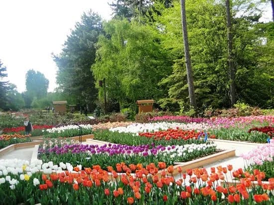 Parc Floral de Paris park in Vincennes, IDF