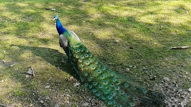 View of Parco Arcadia in Brianza, Lombardy