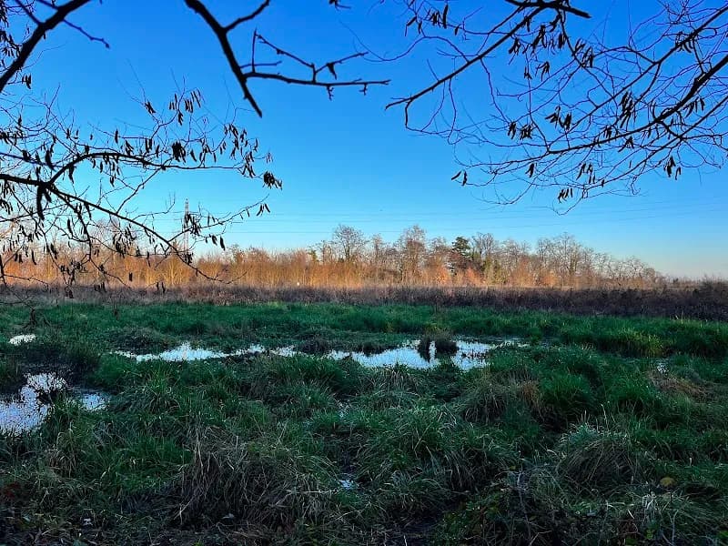 Parco della Besozza city park in Peschiera Borromeo, Lombardy