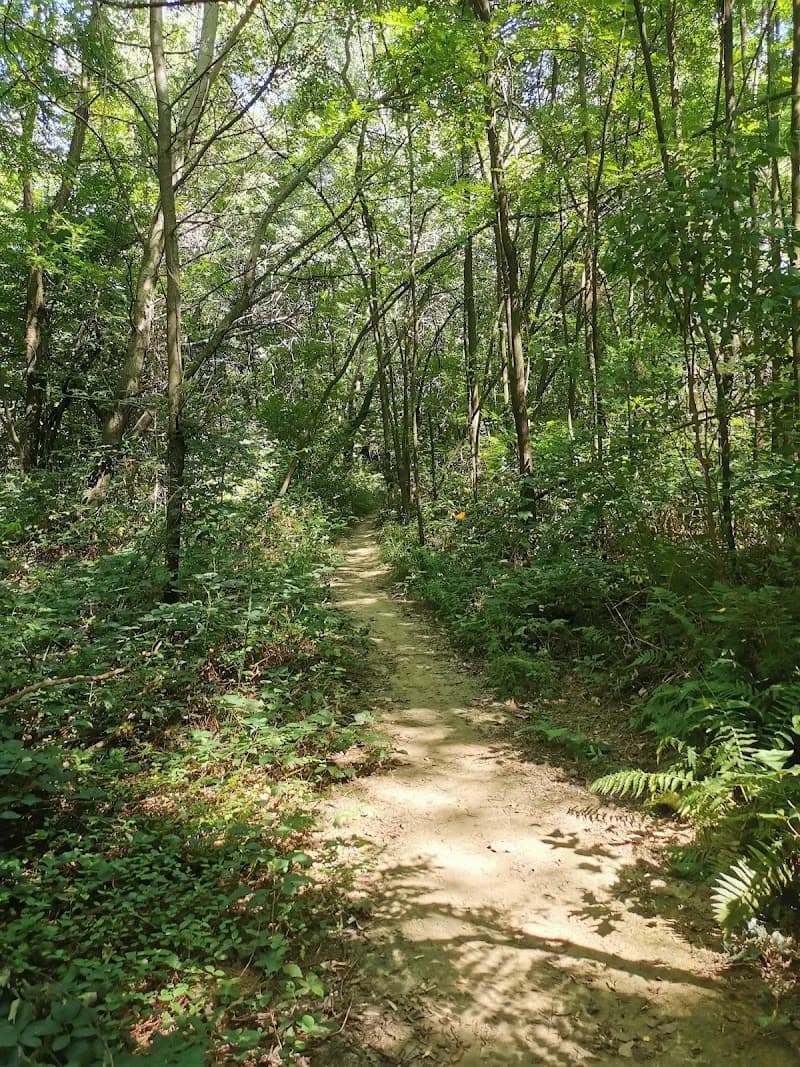 Parco delle Groane e della Brughiera Briantea park in Brianza, Lombardy