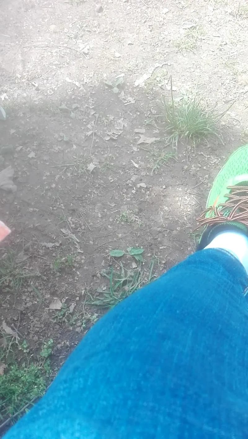 View of Parco Roccolo Treviglio in Treviglio, Lombardy