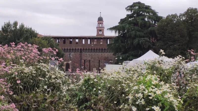 View of Parco Sempione in Milan, LM