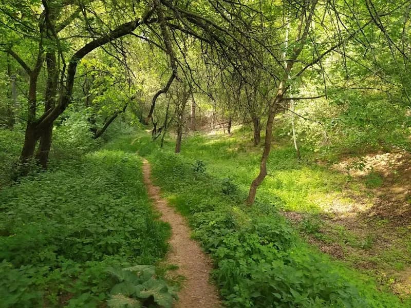 Park Tiché údolí park in Roztoky, CZ