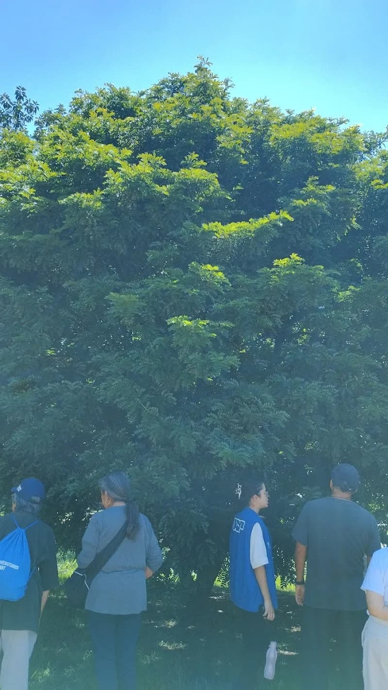 View of Parque CienTec da USP - Parque de Ciência e Tecnologia da Universidade de São Paulo in Sao Paulo, SP
