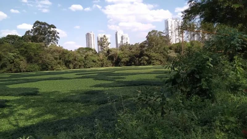 View of Parque da Ficha in Alphaville, SP