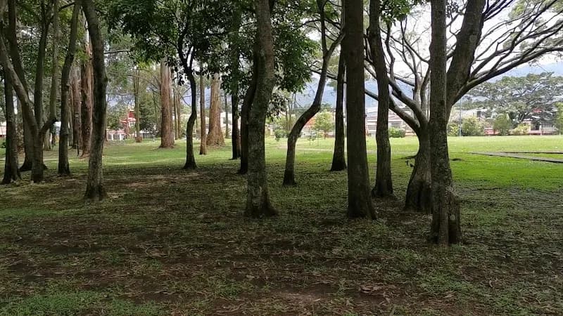 View of Parque del Bosque de Goicoechea in Goicoechea, SJ