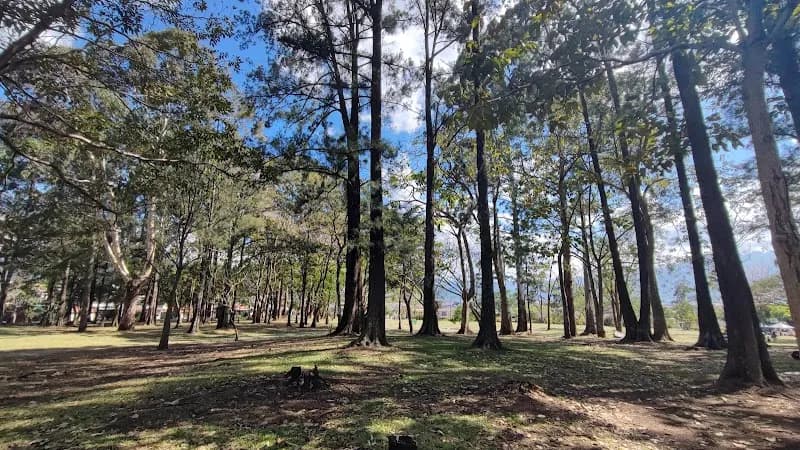 View of Parque del Bosque de Goicoechea in Goicoechea, SJ