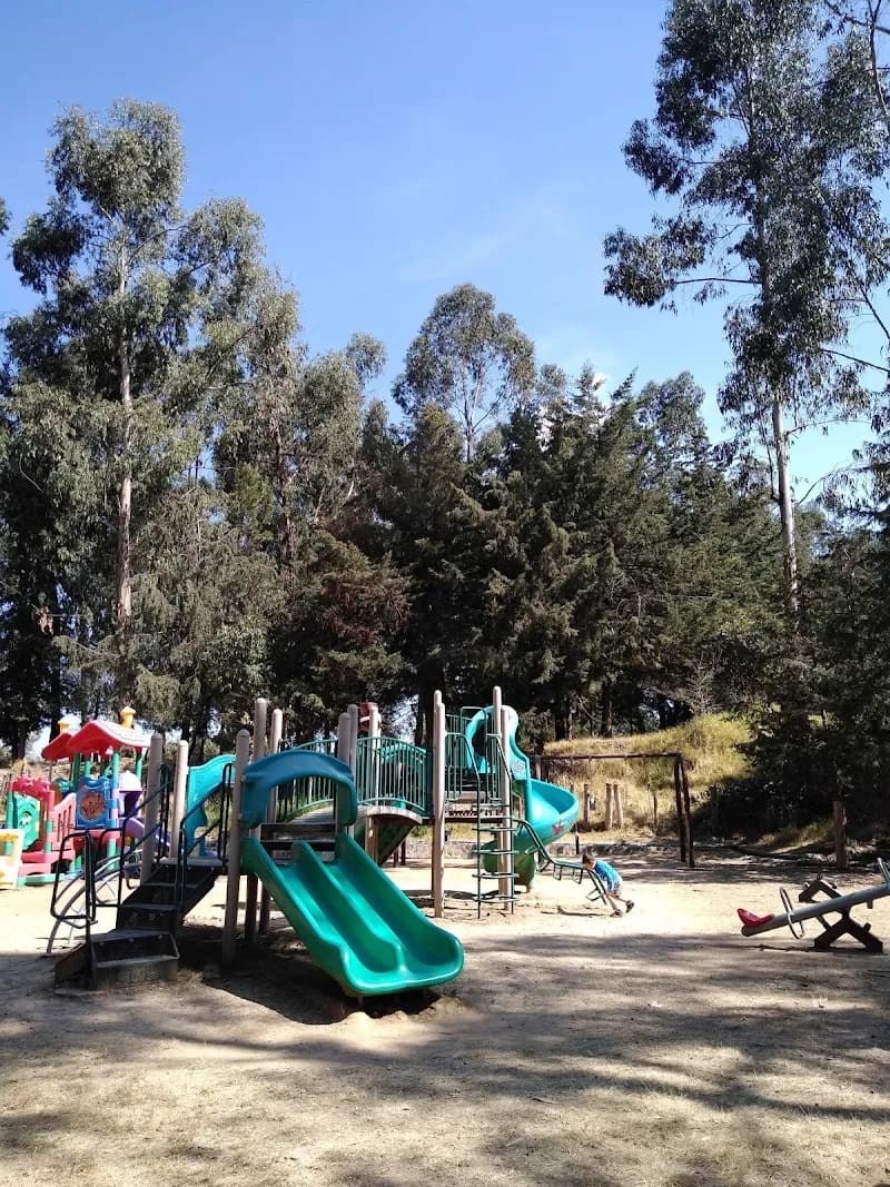 Parque ecologico "LA LOMA" nature preserve in La Magdalena Contreras, CDMX